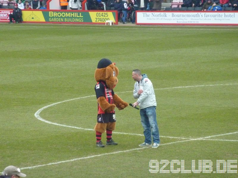 Goldsands Stadium - AFC Bournemouth, 